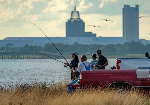 The Impact of Political Campaigns on Environmental Policies in Mobile, Alabama